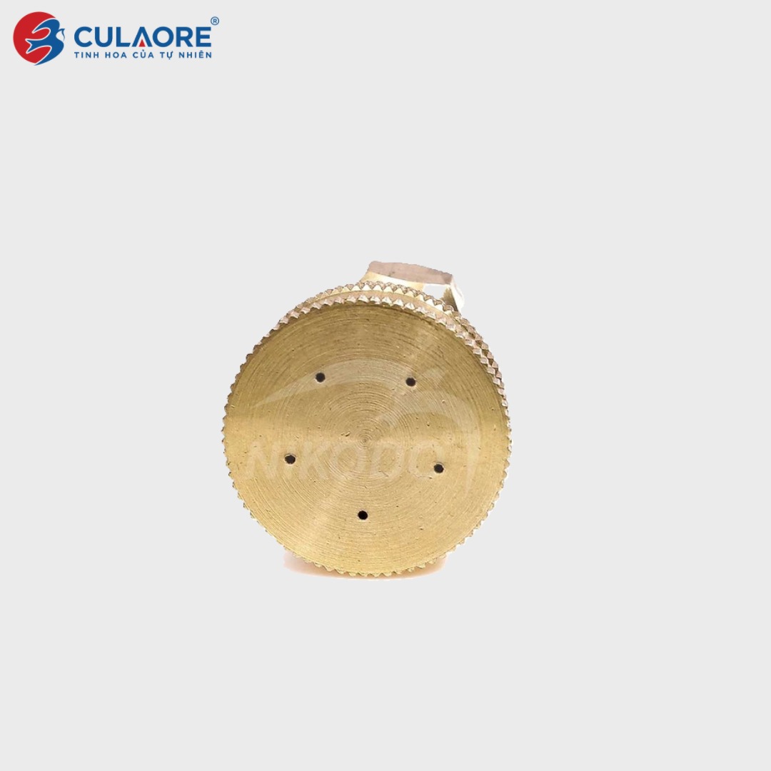BÉC DÙ TẮM CHIM BẰNG ĐỒNG - Ảnh 4