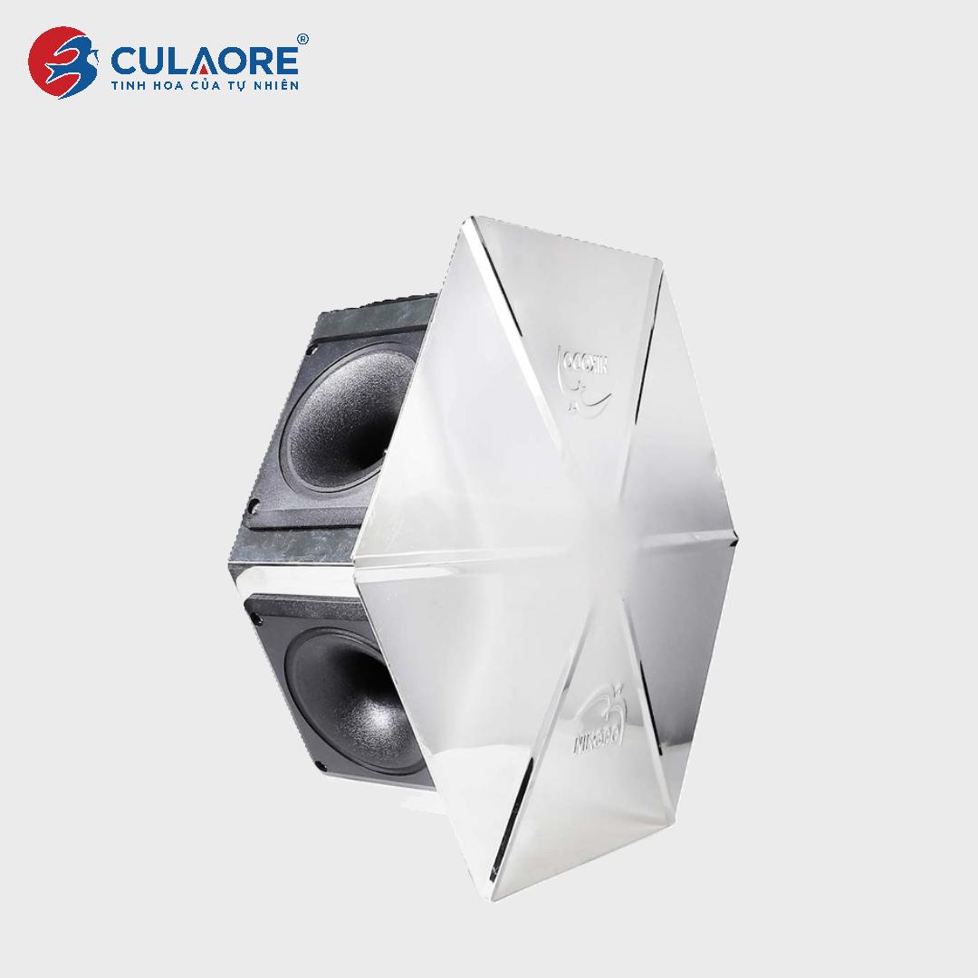 LOA DÙ 6 GIÁC AX96 6D - Ảnh 2