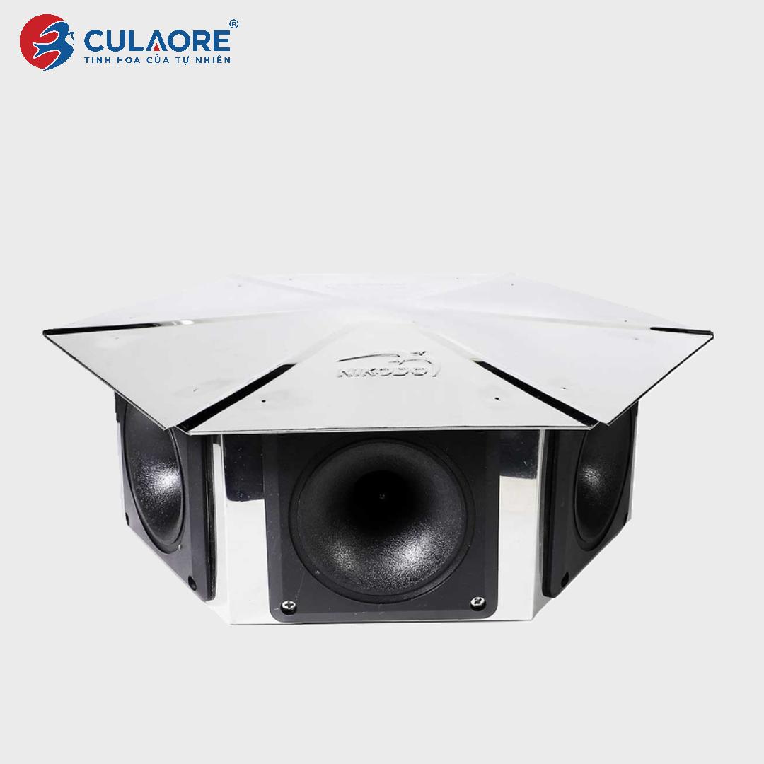 LOA DÙ 6 GIÁC AX96 6D - Ảnh 3