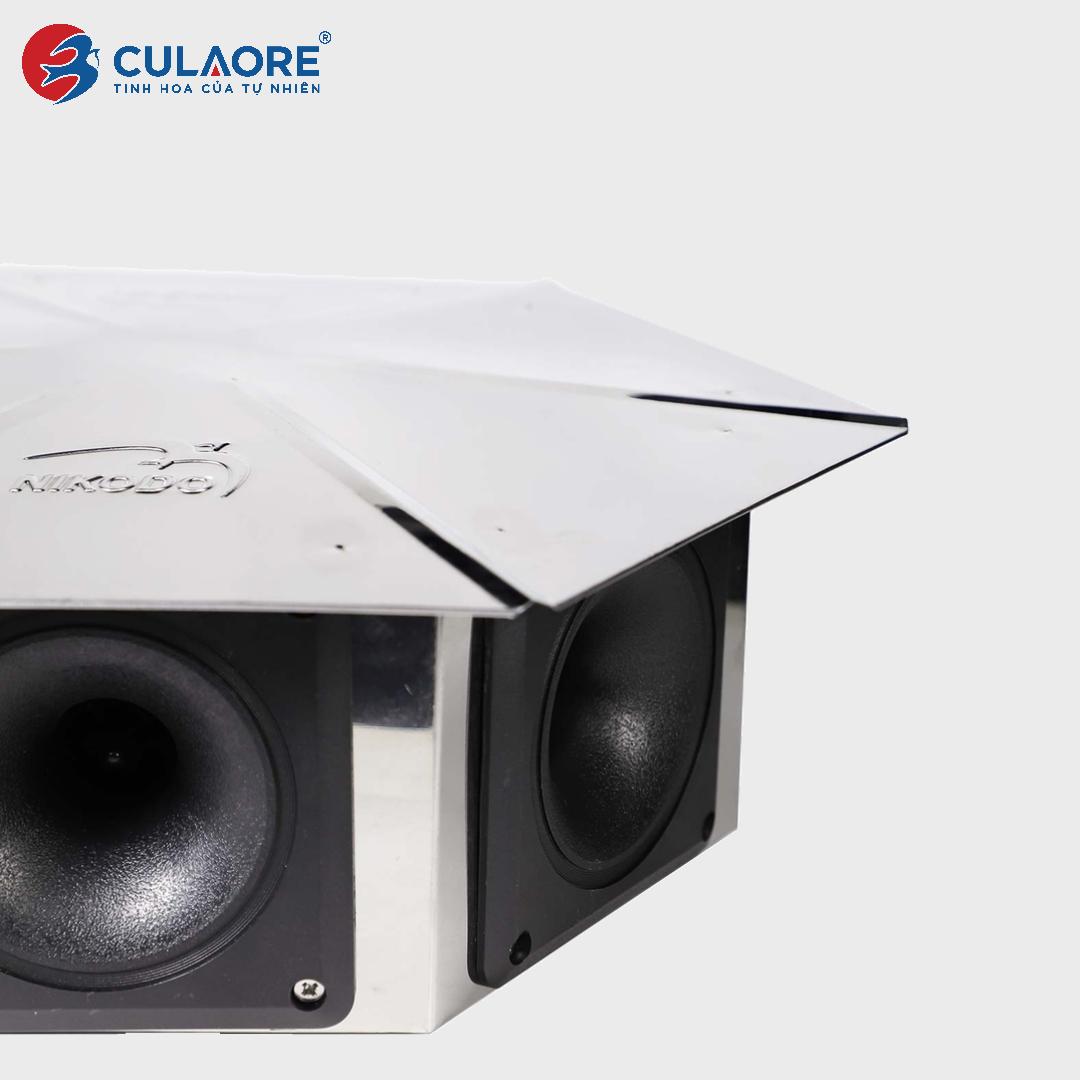 LOA DÙ 6 GIÁC AX96 6D - Ảnh 4