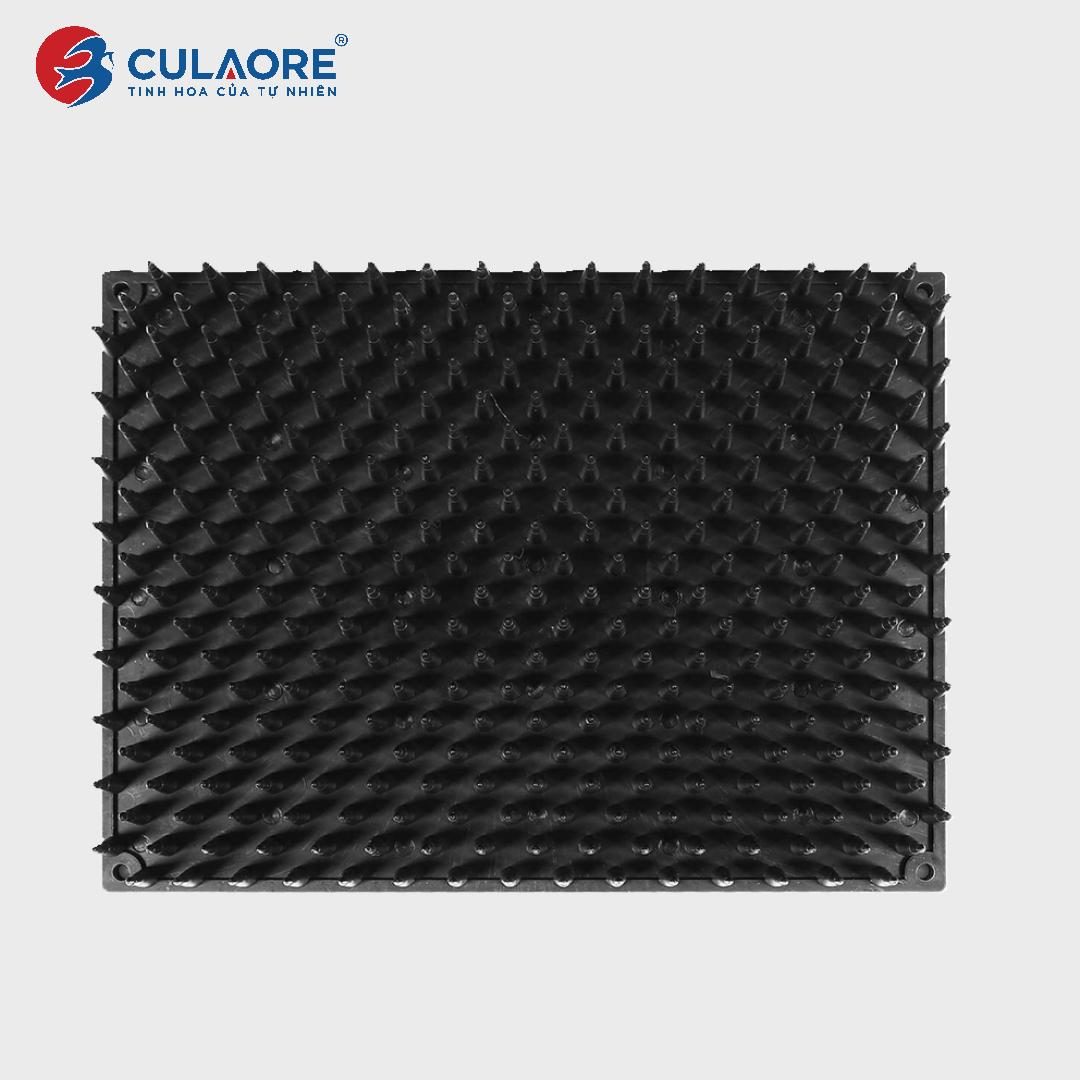 BÀN GAI CHỐNG CÚ VÀ TẮC KÈ 14.5 x 19.5 CM - Ảnh 2