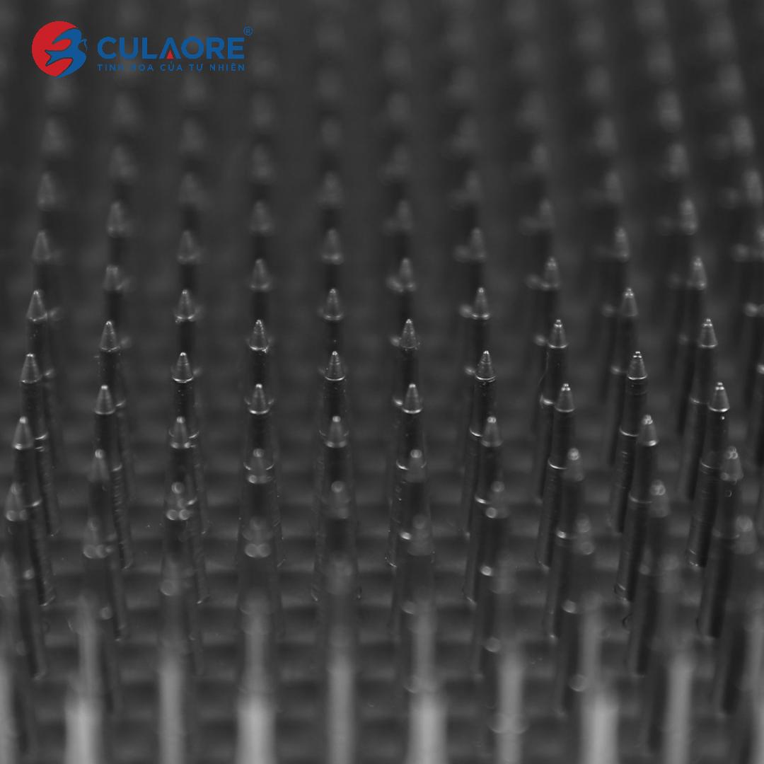 BÀN GAI CHỐNG CÚ VÀ TẮC KÈ 14.5 x 19.5 CM - Ảnh 3